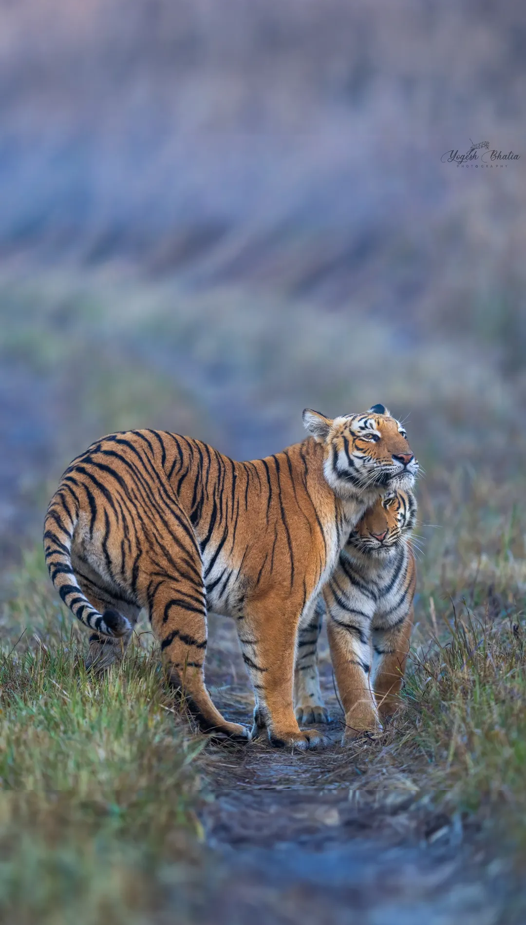 screenshot 20250131 190410.instagram