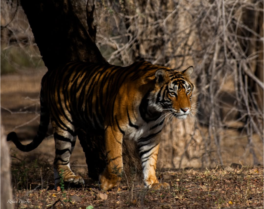 screenshot 20250205 183226.instagram~2