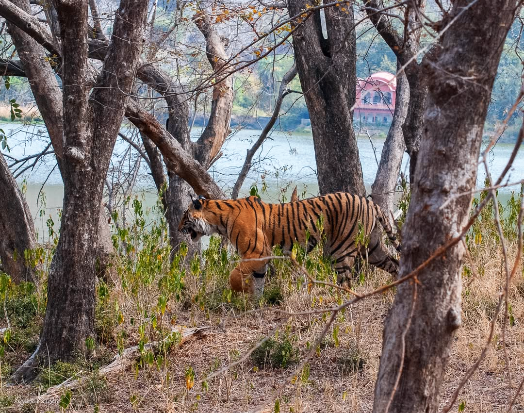 screenshot 20250205 183357.instagram~2