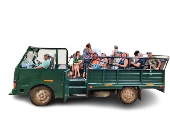 whatsapp image 2025 01 05 at 23.38.10 805cacb4 removebg preview